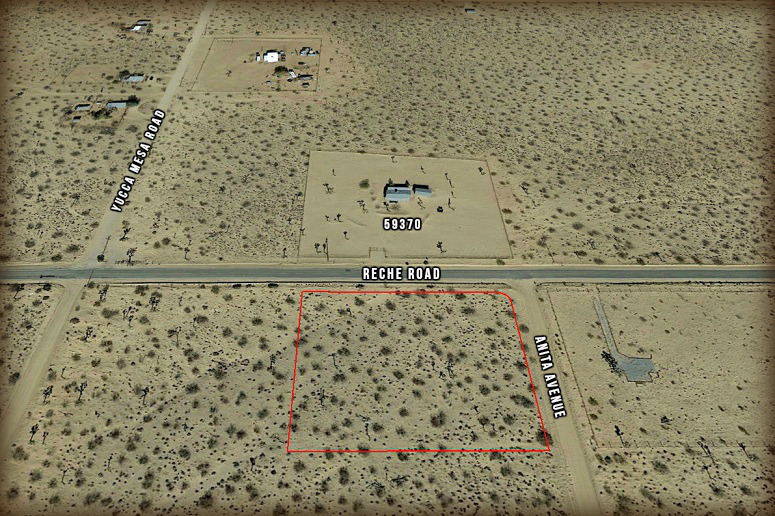 Anita Avenue